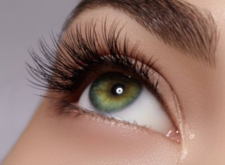 Cils & Sourcils
